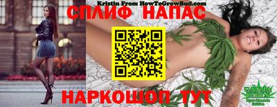 ECSTASY Конаково