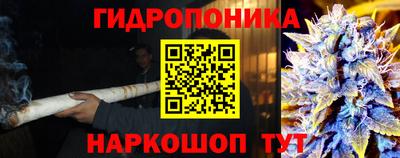 Альфа ПВП Комсомольск-на-Амуре
