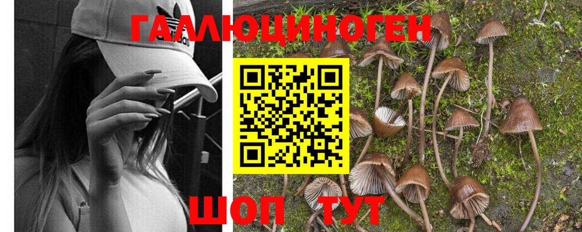 Галлюциногенные грибы прущие грибы  Псилоцибиновые грибы ЛСД  Красногорск  Вход с VPN 